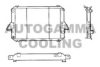 AUTOGAMMA 100245 Radiator, engine cooling